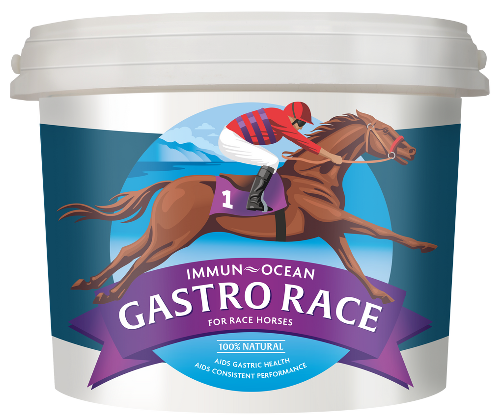 The Hidden Costs of Omeprazole: Why Natural Gut Support Wins for Long-Term Equine Health